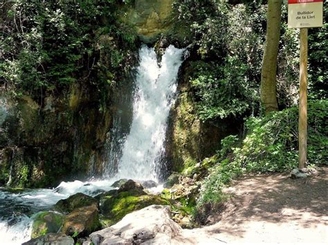 el bullidor de la llet|El Bullidor de la Llet a Bagà